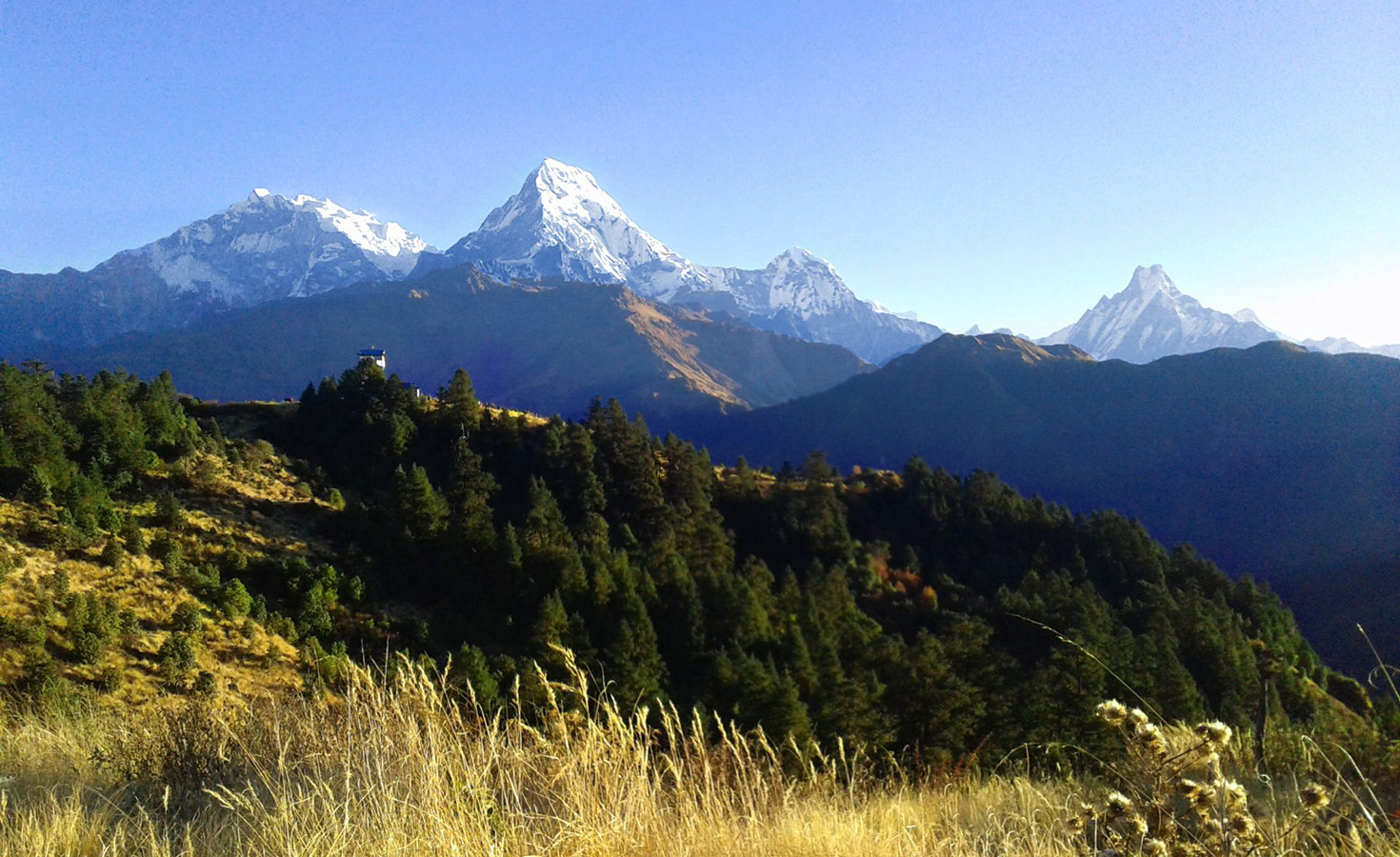 Poonhill Trek