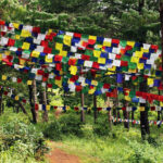 1 Day in Pharping Village Tour