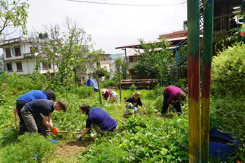 Faculty-Led Program in Nepal