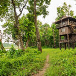 An Unforgettable Tree House Stay Experience in Chitwan