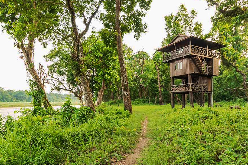 An Unforgettable Tree House Stay Experience in Chitwan
