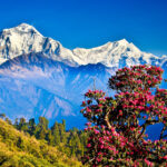 Best Times to Visit Nepal in 2026