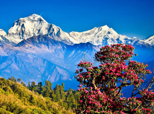 Grand Nepal Discovery Tour