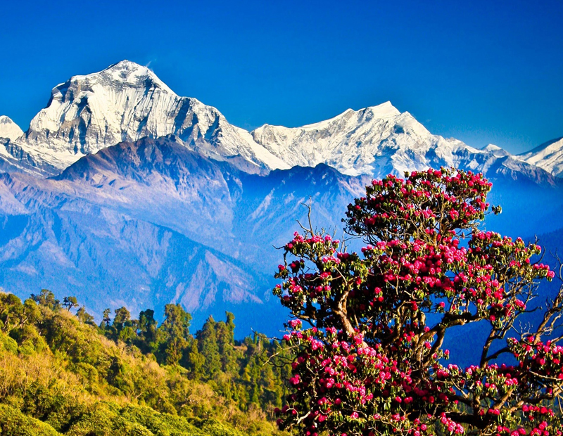 Grand Nepal Discovery Tour