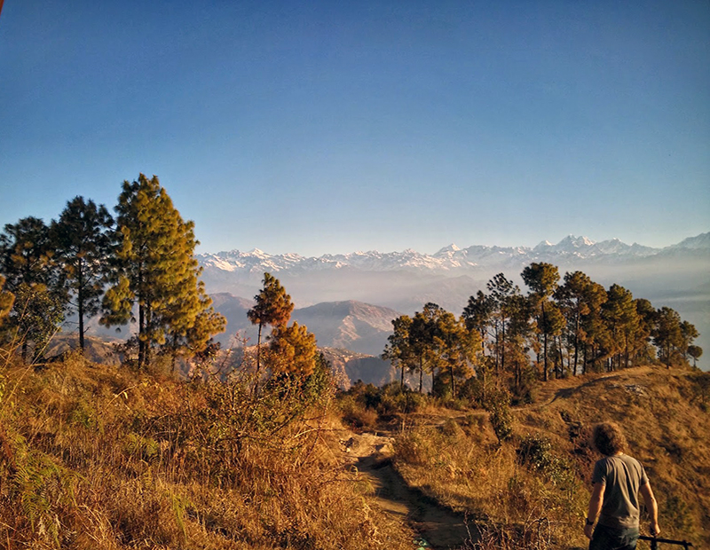 Nepal Hills and Wildlife Tour
