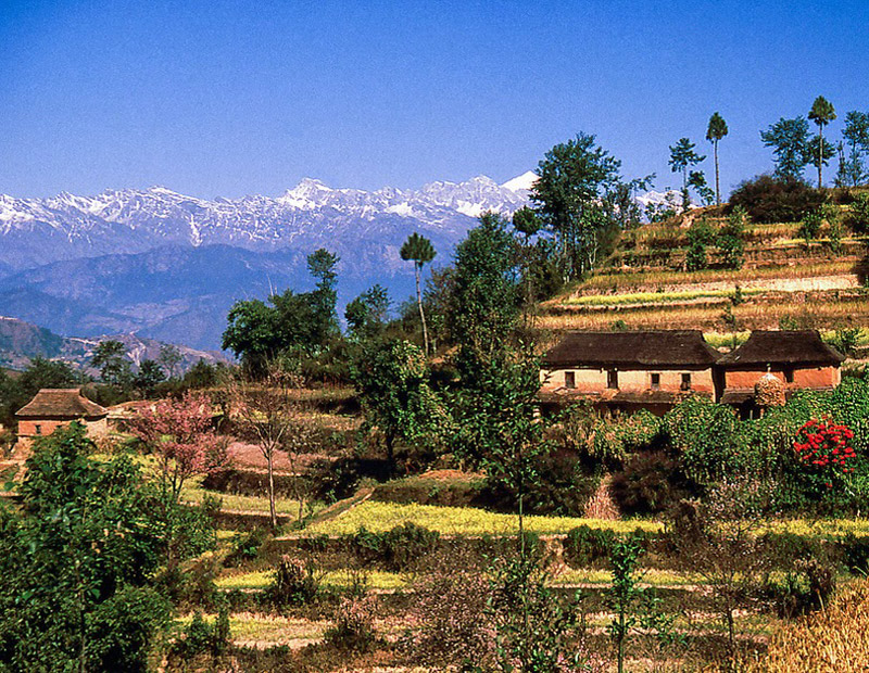 Nagarkot Day Hiking Trip