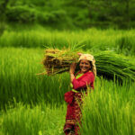 Nepal Is Not Just Mountains and Trekking