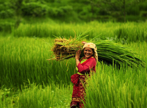 Nepal Agriculture Tour