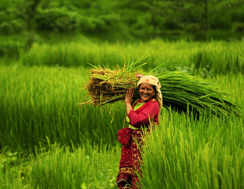 Nepal Agriculture Tour