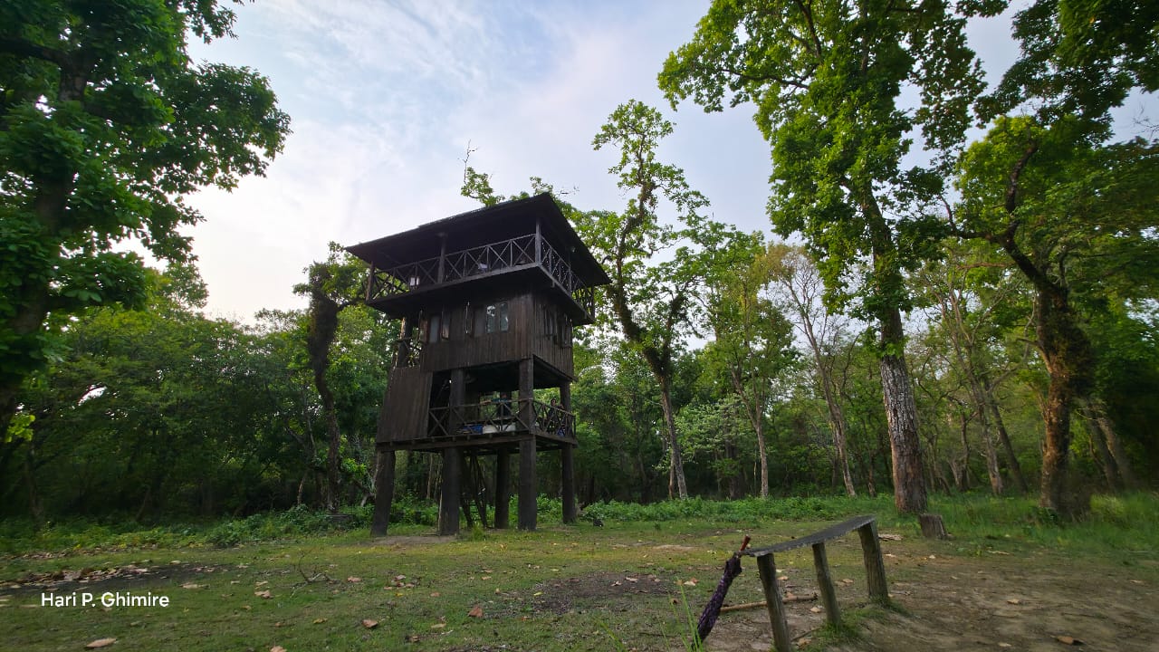 An Unforgettable Tree House Stay Experience in Chitwan