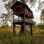 Night Safari in Bardia National Park