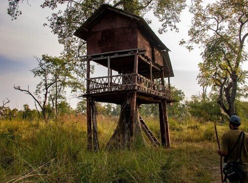 Bardia Tree House