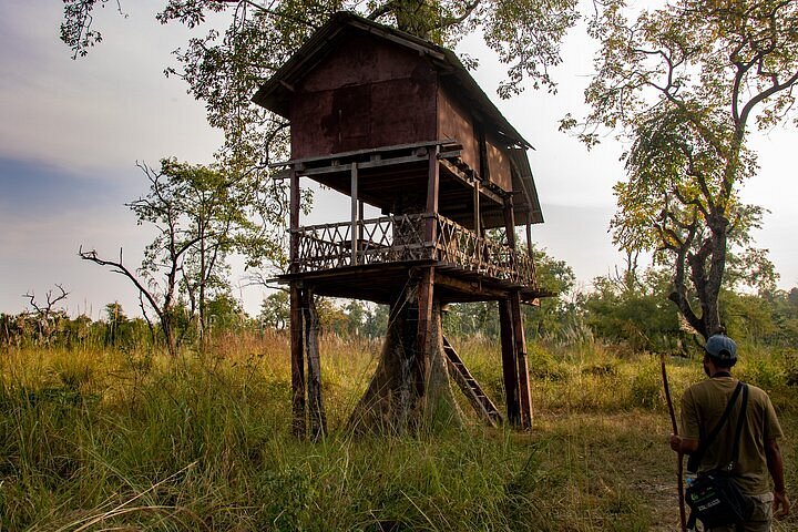 Bardia Wildlife Tour with Tree House Stay