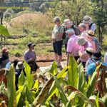 Nepal Travel for Friends and Private Leisure Groups