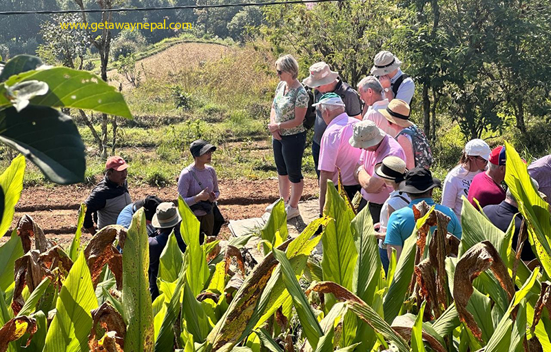 Nepal Travel for Friends and Private Leisure Groups